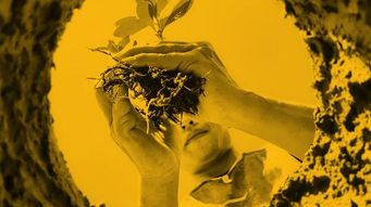 Susan Cooper to Take Part in Brownfields Webinar