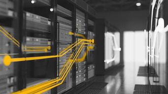 Tara Cho Quoted in Law360 Mid-Year Data Privacy Report