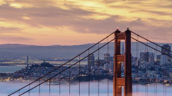 Womble Bond Dickinson’s San Francisco Office Relocates to Newly Designed, Growth-Focused Space
