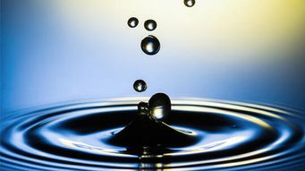 Francisco Balduzzi, Phyllis Guillory & Christé Spiers to Take Part in Rethinking Water 2024
