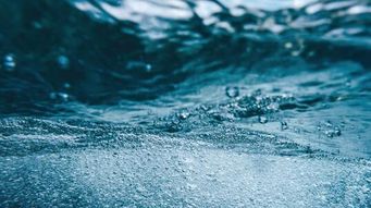 North Carolina Develops Action Strategy for PFAS Regulation