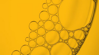 FDA Issues Draft Guidance Clarifying Use of Form FDA 3542