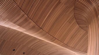 Can a Wood Grain be Copyrighted? Yes, if the Pattern is Original and Human Made