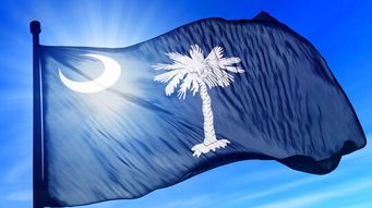 Non-U.S. Citizens and Foreign Adversaries: Proposed South Carolina Legislation With Potential to Significantly Impact Foreign Ownership of South Carolina Real Property