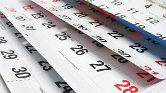 Bid Protest Season: Contractors Need To Be Aware of The Short Deadlines To File Bid Protests, and SBA Size and Status Protests