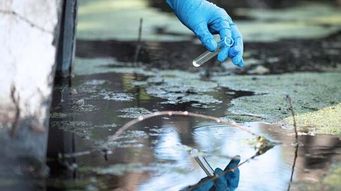 Arizona Federal Court Vacates The Navigable Waters Protection Rule, EPA and the Army Corps to Redefine “Waters of the United States”