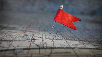 Red-Flagged by the Black Box: Nationalizing Apps to Fight COVID-19