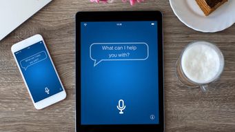 Tiny Personal Assistant Poses Big Risk and Privacy Concerns