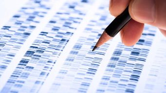 Why We Are Losing Our DNA Privacy Rights and What Legislators Can Do to Save Them