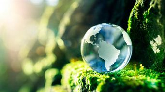 The ESG Movement: Why All Companies Need to Care