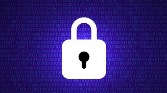 The CPRA Will Bring New Rights, Responsibilities and Regulators to California Data Privacy Law