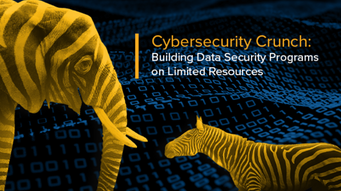 Cybersecurity Crunch: Building Strong Data Security Programs with Limited Resources – Insights from Tech and Financial Services Sectors