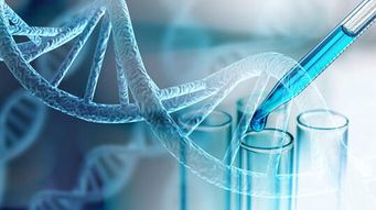 California and Florida Introduce Two More Genetic Privacy Laws Into the Mix