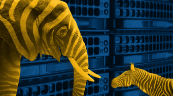Data Dilemma: Navigating Data at the Crossroads of Innovation & Compliance