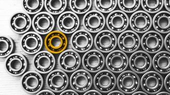 Copy of Karthika Perumal, Aaron Massuda Write on the Circular Economy for Les Nouvelles