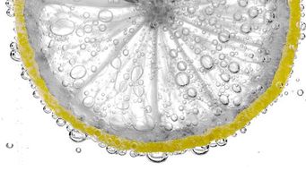 Copy of From Farm to Fork: Understanding FDA’s Food Traceability
