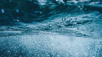 Ruling Highlights Nexus Of Water Rights, Bankruptcy Law