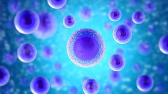 Court approves posthumous use of embryos