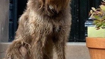 Subway Series: Reviews and Testimonials