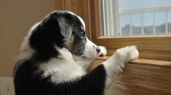 locally mined granite