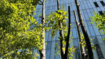 Building a greener tomorrow: strategies for decarbonising the built environment in the UK