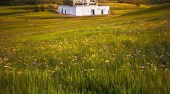 The UK's national security bolstered - the National Security and Investment Bill receives Royal Assent