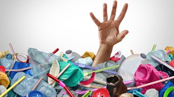 What next for chemical recycling of plastics?