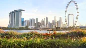 IPOS extends patent search and examination deadline relief and reopens fast-track programmes