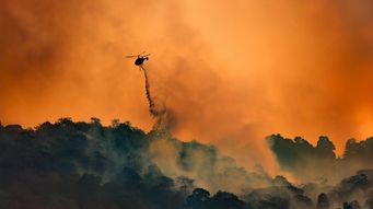 Pause, Pay, or Proceed: Statute of Limitations and Filing Suit After the LA Wildfires