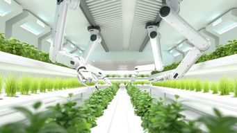 The Future of Food: How Technology Will Revolutionize What We Eat