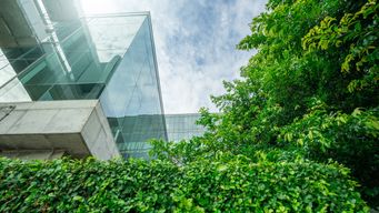 Enough greenwashing: How companies can drive value by establishing legitimate environmental practices