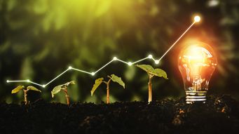 Scot-free business funding for start-ups
