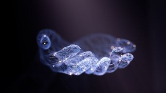 AI Risks and Realities for Nonprofits: Traps for the Unwary and Tips for Avoiding Them