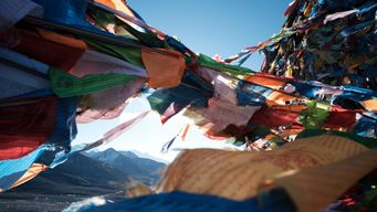Lost in Translation: The Art of Dodging Trinket Sellers