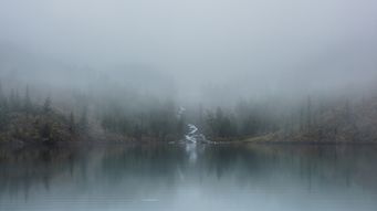 Navigating Out of the Trough of Disillusionment