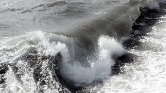 EPA, Army Corps of Engineers Proposal on Revised WOTUS Definition