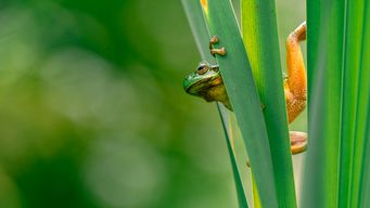 Trump criticises Nato as alliance chief describes meeting as 'very frank'
