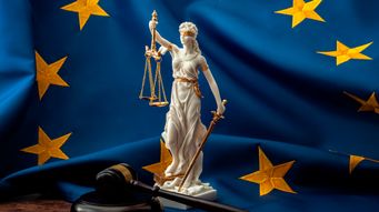 The European Court of Justice rules on the parallel imposition requirement in exclusive distribution networks: the importance of evidence