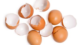 Texas AG Settles With Cal-Maine Foods Over Price Gouging Claims