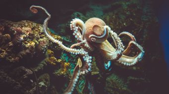 Post showing featured image at the top