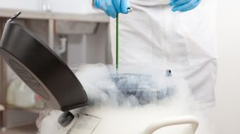 Copy of Known sperm donation and legal parenthood