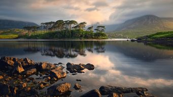 Ireland consults on reform of Limited Partnership Framework