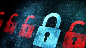 (San Fernando Valley Business Journal) Invisible Risks: Insurance, Legal and Tech Professionals Can Limit Web Liability