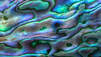 2026 NDAA Creates New Strategic Opportunities Regarding Nontraditional Defense Contractor Status