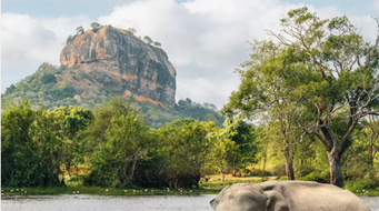 Tea, Sweat, and Barefoot Regrets: My 1990s Odyssey Through Sri Lanka