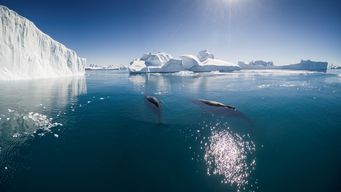 When the Climate Changes, So Must States – ECtHR Demands Climate Risk Assessment by Governments