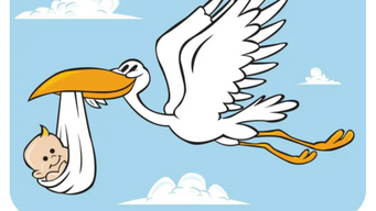 Proof That Storks Deliver Babies