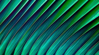 Competition Appeal Tribunal makes first damages award under collective proceedings regime