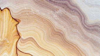 Responsible wealth stewardship: protecting wealth with purpose - Wedlake Bell