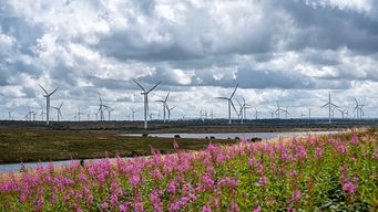 Sustainability Spotlight | Q3 2025 | Alston & Bird